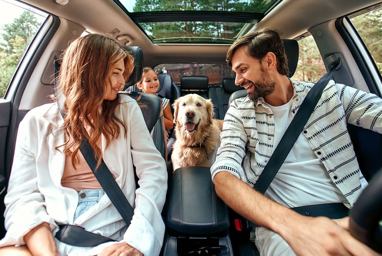Pet Friendly Apartments Near Me Pet Friendly Apartments Near Me